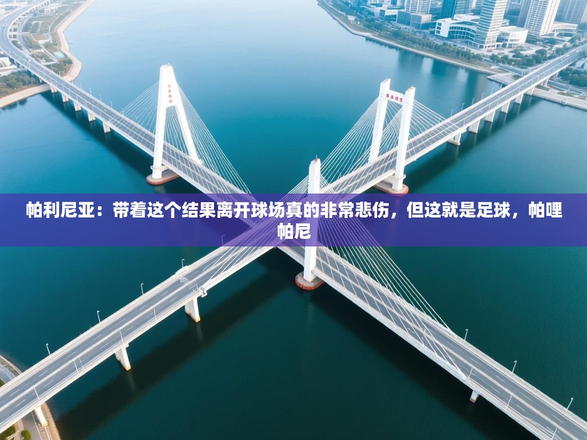 云开体育官网入口登录网页-帕利尼亚:带着这个结果离开球场真的非常悲伤,但这就是足球,帕哩帕尼 第1张