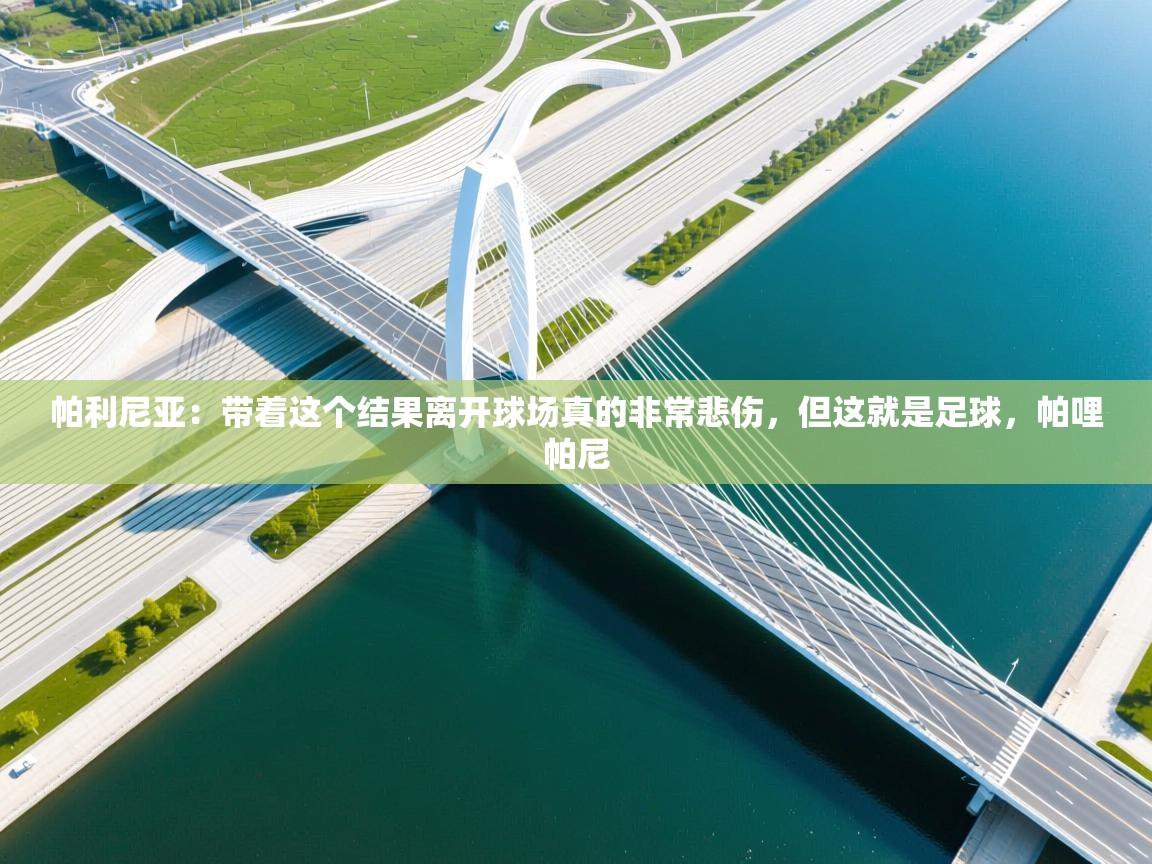 云开体育官网入口登录网页-帕利尼亚:带着这个结果离开球场真的非常悲伤,但这就是足球,帕哩帕尼 第2张