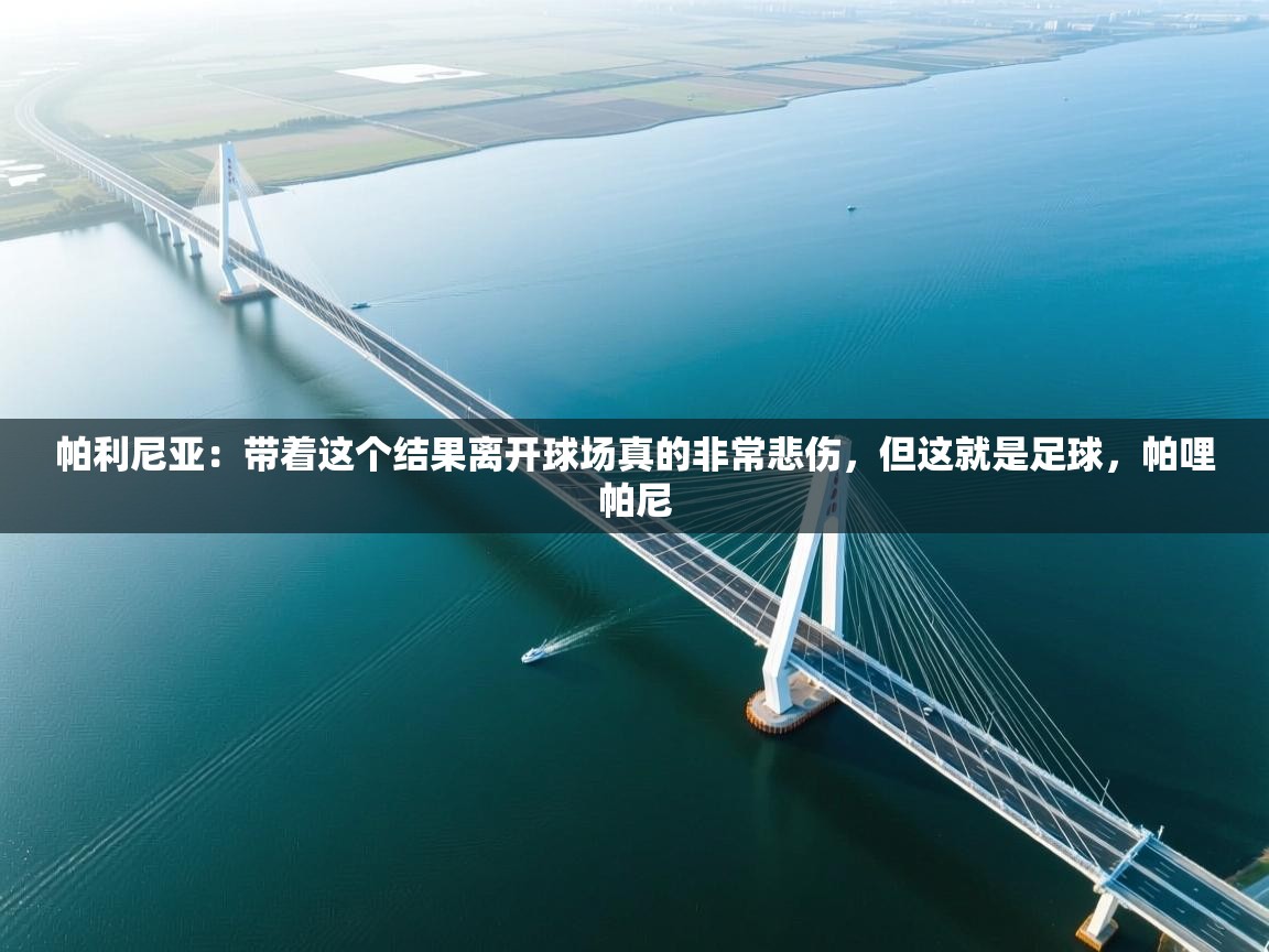 云开体育官网入口登录网页-帕利尼亚:带着这个结果离开球场真的非常悲伤,但这就是足球,帕哩帕尼 第4张