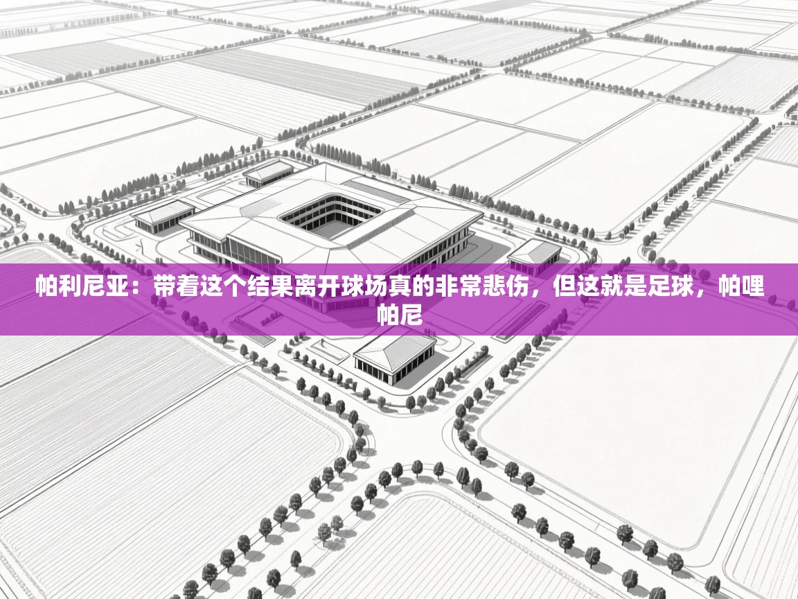 云开体育官网入口登录网页-帕利尼亚:带着这个结果离开球场真的非常悲伤,但这就是足球,帕哩帕尼 第3张