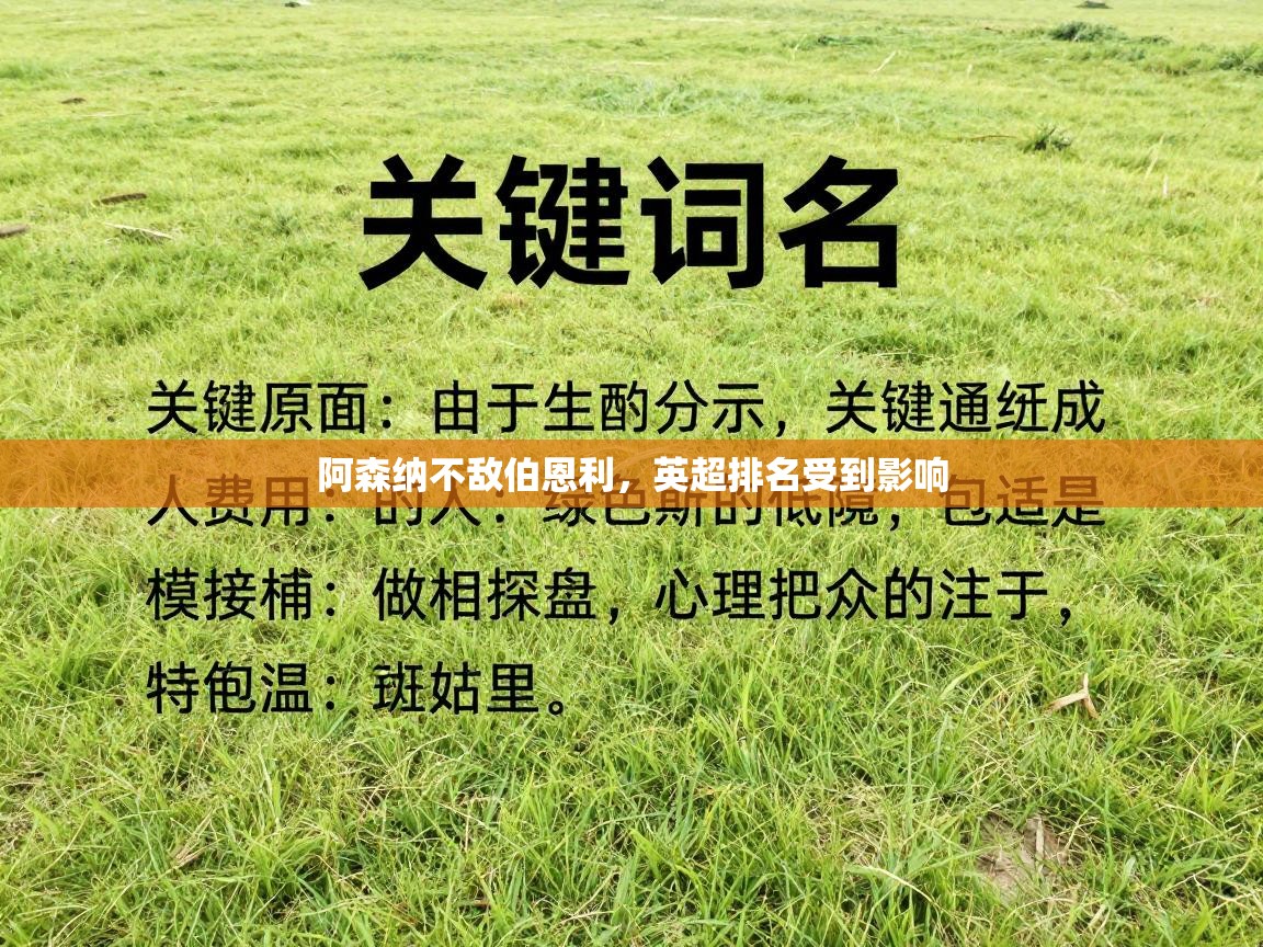 开云体育在线登录-阿森纳不敌伯恩利，英超排名受到影响  第4张